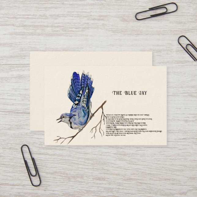Carte De Visite Oiseau forestier Blue Jay (Devant/Arrière en situation)