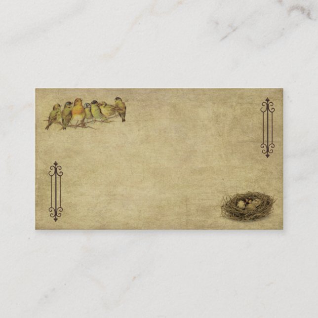 Carte De Visite Oiseaux Élégants Et Artistiques Et Nid-Carte de vi (Devant)