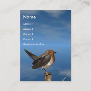 CARTE DE VISITE OISEAUX HYPER / ROBIN BREAST ROUGE