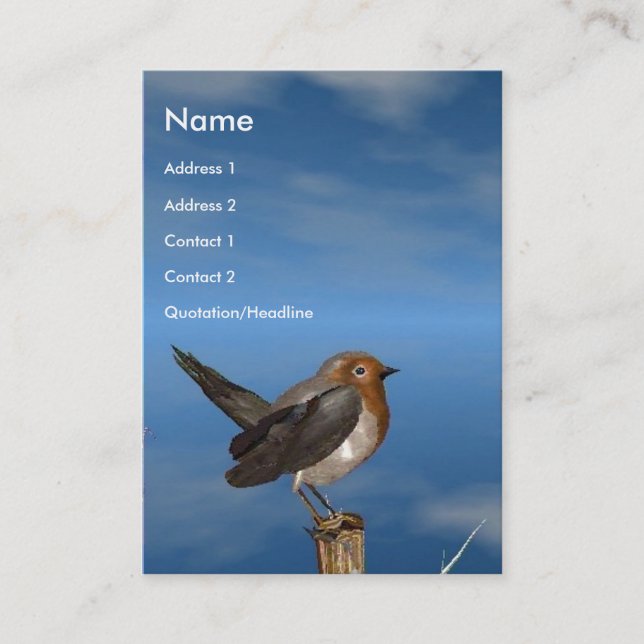 CARTE DE VISITE OISEAUX HYPER / ROBIN BREAST ROUGE (Devant)