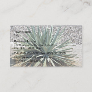 Carte De Visite Ombragé aloe vera pendant une journée ensoleillée