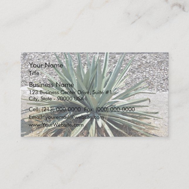 Carte De Visite Ombragé aloe vera pendant une journée ensoleillée (Devant)