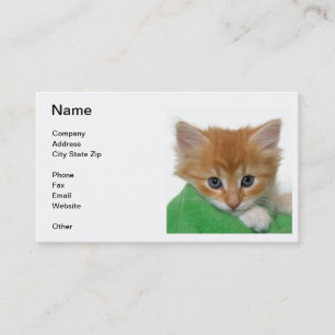 Carte de visite orange de chaton