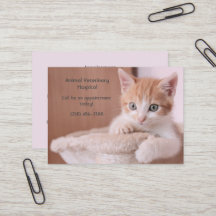 Orange Kitten Rose Soin pour animaux de compagnie 