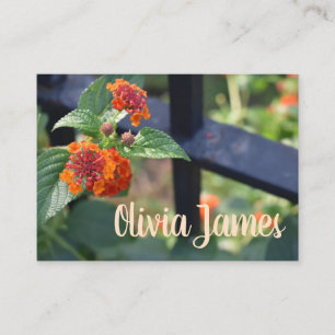Carte De Visite Orange Rouge Lantana Jardin Fleur Nature Photo