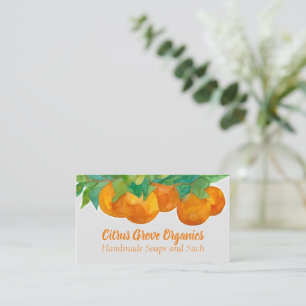 Carte De Visite Oranges Agrumes Fruits Aquarelle Organiques