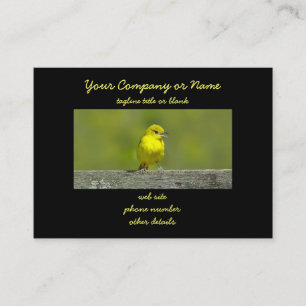 Carte De Visite Orchard Oriole - Photo originale