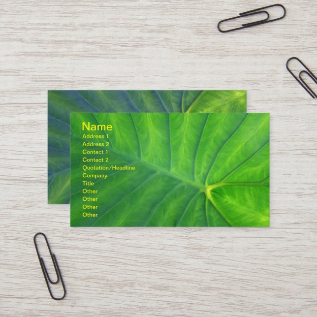 Carte De Visite Oreilles éléphantes - Colocasia (Devant/Arrière en situation)