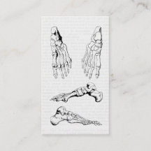 Os humains d'anatomie de vieil art Médicale du