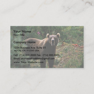 Carte De Visite Ours Brown Kodiak