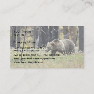 Carte De Visite Ours gris dans le domaine au parc national de