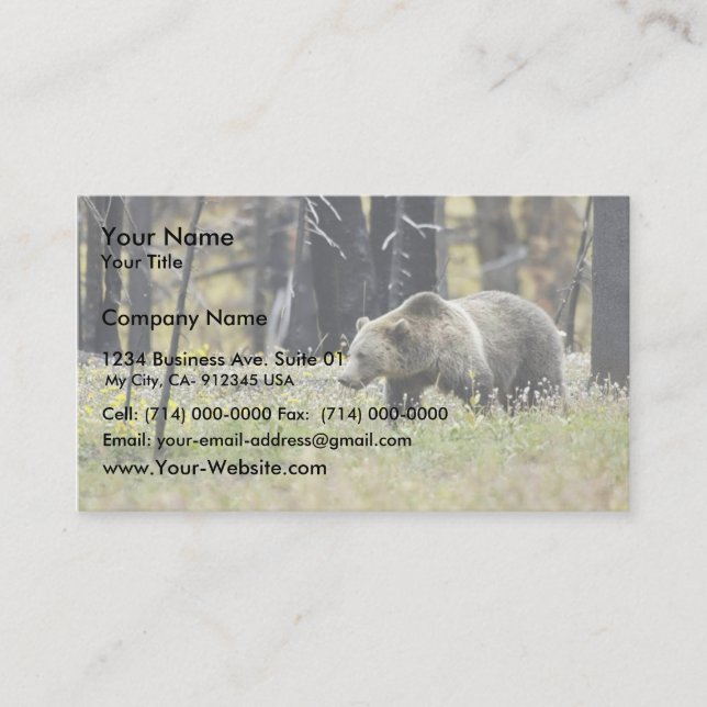 Carte De Visite Ours gris dans le domaine au parc national de (Devant)