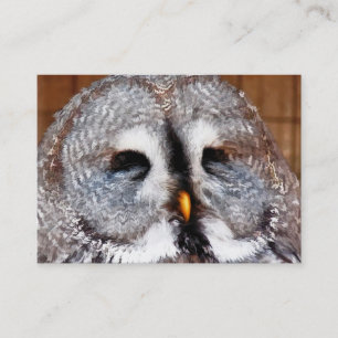 CARTE DE VISITE OWLS