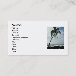 Carte De Visite Palmiers