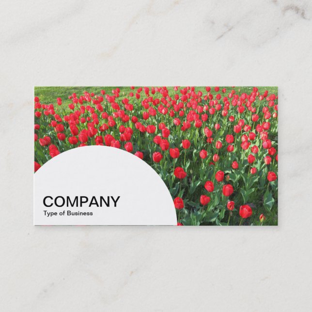Carte De Visite Panneau en demi-cercle - Lit de tulipes rouges 01 (Devant)
