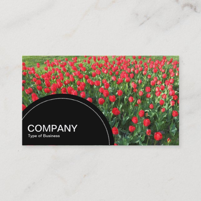 Carte De Visite Panneau en demi-cercle (points) - Lit de tulipes r (Devant)