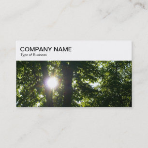 Carte De Visite Panneau supérieur - Soleil brillant à travers les 