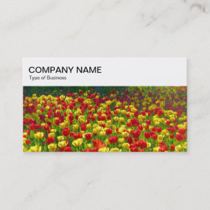 Carte De Visite Panneau supérieur - Tulipes rouges et jaunes 03 Ca