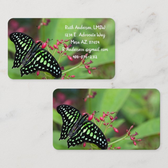 Carte De Visite Papillon Jay (Devant / Derrière)