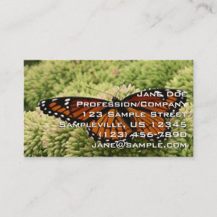 Carte De Visite Papillon Limenitis Artémis Photographie De La Bell
