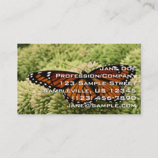 Carte De Visite Papillon Limenitis Artémis Photographie De La Bell