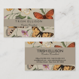 Carte De Visite Papillon Moth Nature Collection Dessin