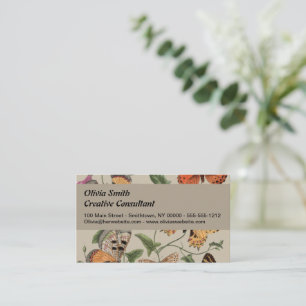 Carte De Visite Papillon Moth Nature Collection Dessin