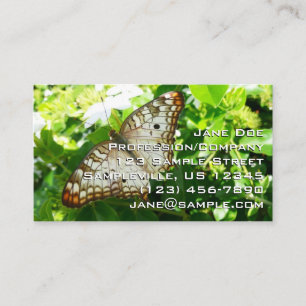 Carte De Visite Papillon sur Jasmine Tropical Nature Photographie