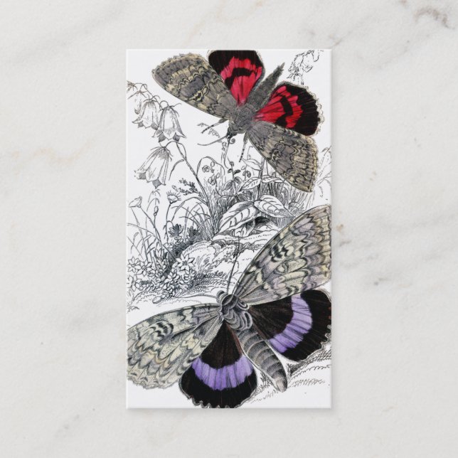 Carte De Visite Papillons (Devant)