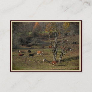 Carte De Visite Pâturage de l'ATC de vaches