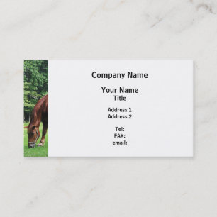 Carte De Visite Pâturage des chevaux dans le pâturage