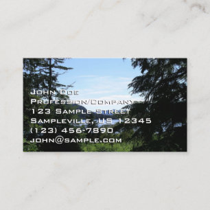 Carte De Visite Paysage d'Alaska Photographie de la belle Alaska