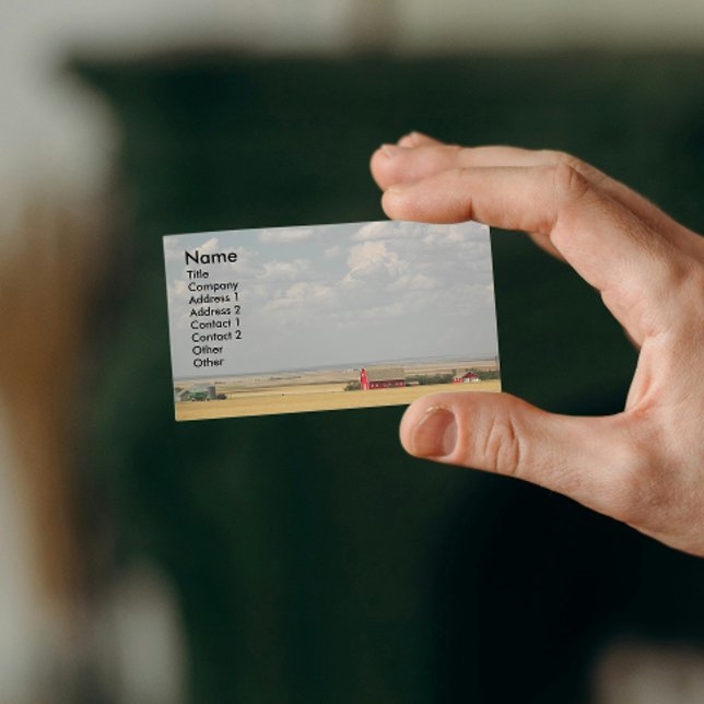 Carte De Visite Paysage des champs de blé agricole (In Situ)