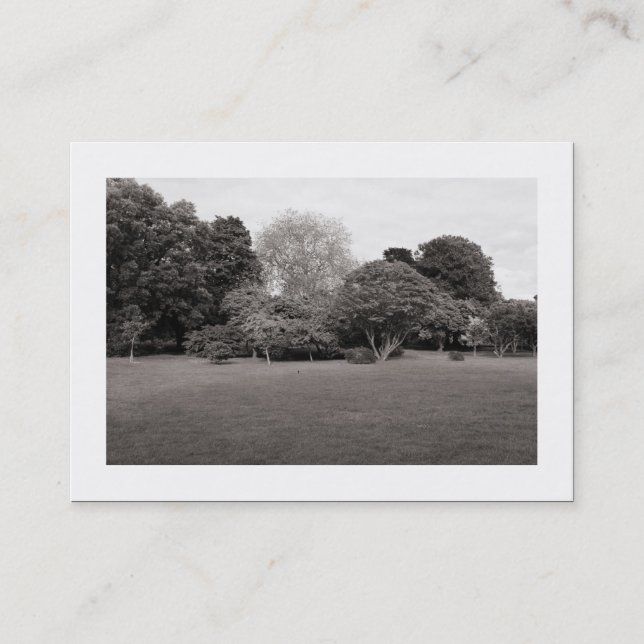 Carte De Visite Paysage du parc (bordé) (Devant)