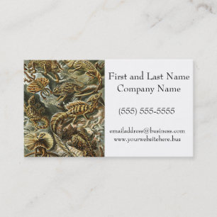 Carte De Visite Peinture de l'Iguana du dragon barbu Haeckel Lizar