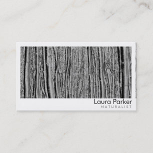 Carte De Visite Pelouse de paysage de soin d'arbre de bouleau de