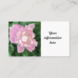Carte de visite Peony
