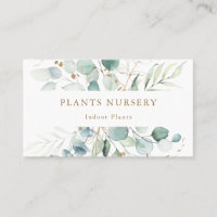 Pépinière botanique Plante d'or et verte
