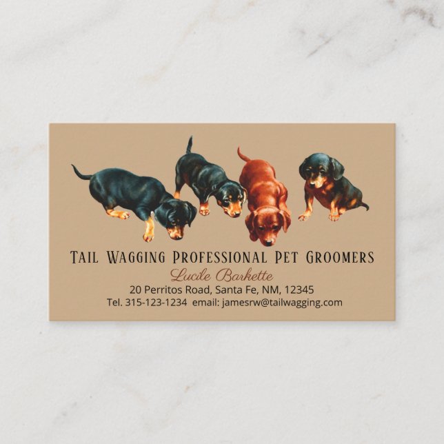 Carte De Visite Personnalisé Adorable Cute Dachshund Puppy Pet Gro (Devant)