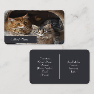 Carte de visite personnalisée pour chatterie