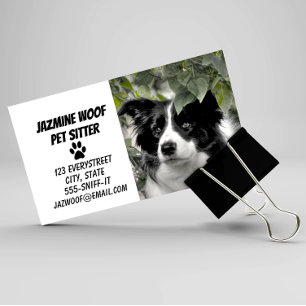 Carte De Visite Pet Sitter Dog Walker