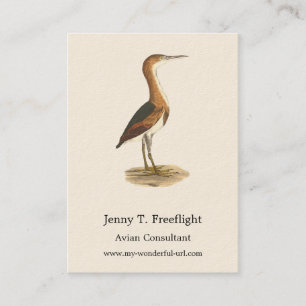 Carte De Visite Petit Bittern (Ixobrychus exilis) Oiseaux de New Y
