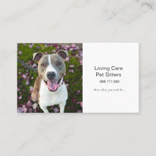 Carte De Visite Petit chien animal de compagnie assis et services 