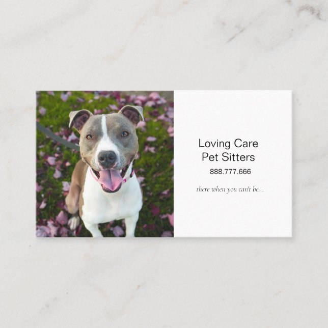 Carte De Visite Petit chien animal de compagnie assis et services  (Devant)