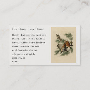 Carte De Visite Petite chouette à cris des oiseaux d'Amérique d'Au