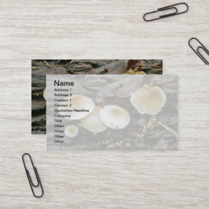 Carte De Visite Petits Parasols Champignons en rondins