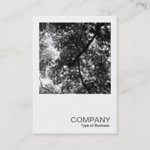 Carte De Visite Photo carré 0113 - Dans les arbres