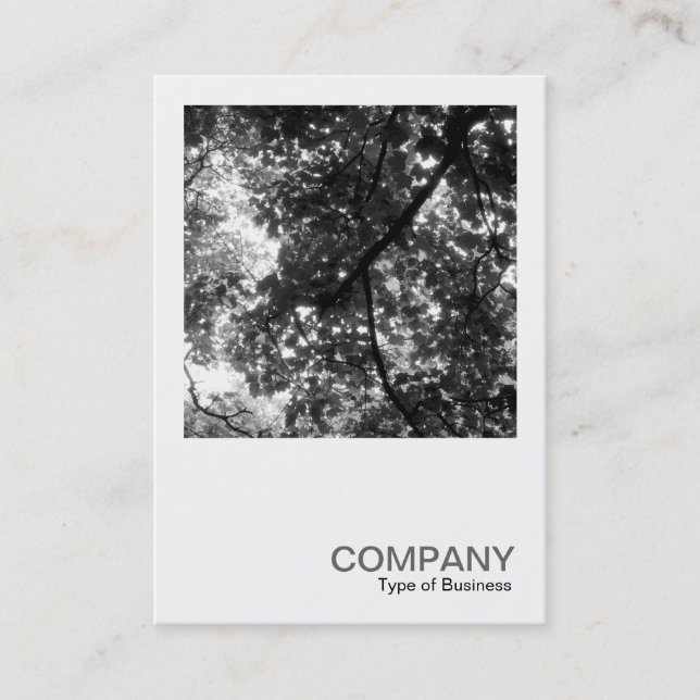 Carte De Visite Photo carré 0113 - Dans les arbres (Devant)