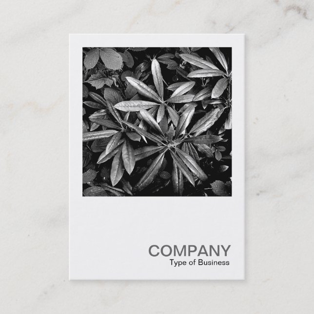 Carte De Visite Photo carré 0132 - Rhododendron Feuille (Devant)