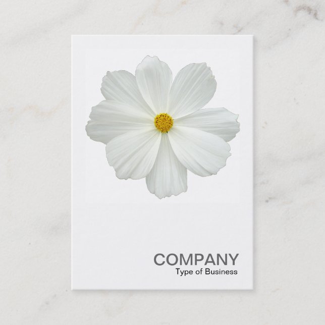Carte De Visite Photo carré 0161 - Fleur de cosmos blanc (Devant)
